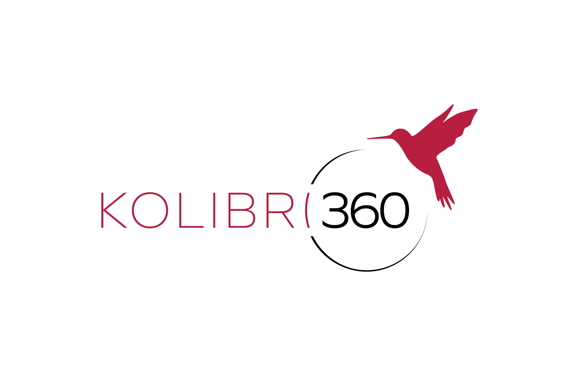 PRESS RELEASE FROM 01/29/2025